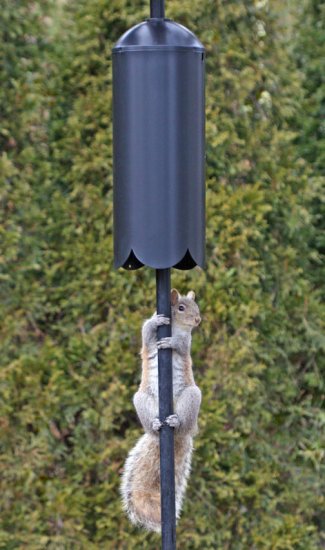 (image for) FP5TWX - 5 Piece Feeder Pole Set w/Twister and SB1D Baffle