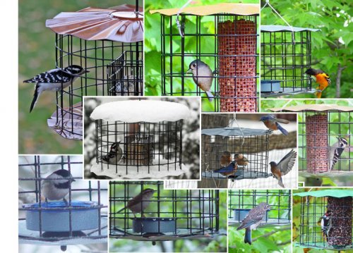 Starling Proof Feeders : Nature House Catalog
