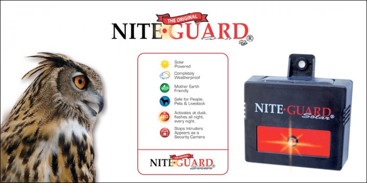 (image for) The Original Nite-Guard Solar