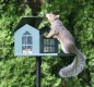 (image for) SQF1G - Bird Proof Squirrel Feeder - USA