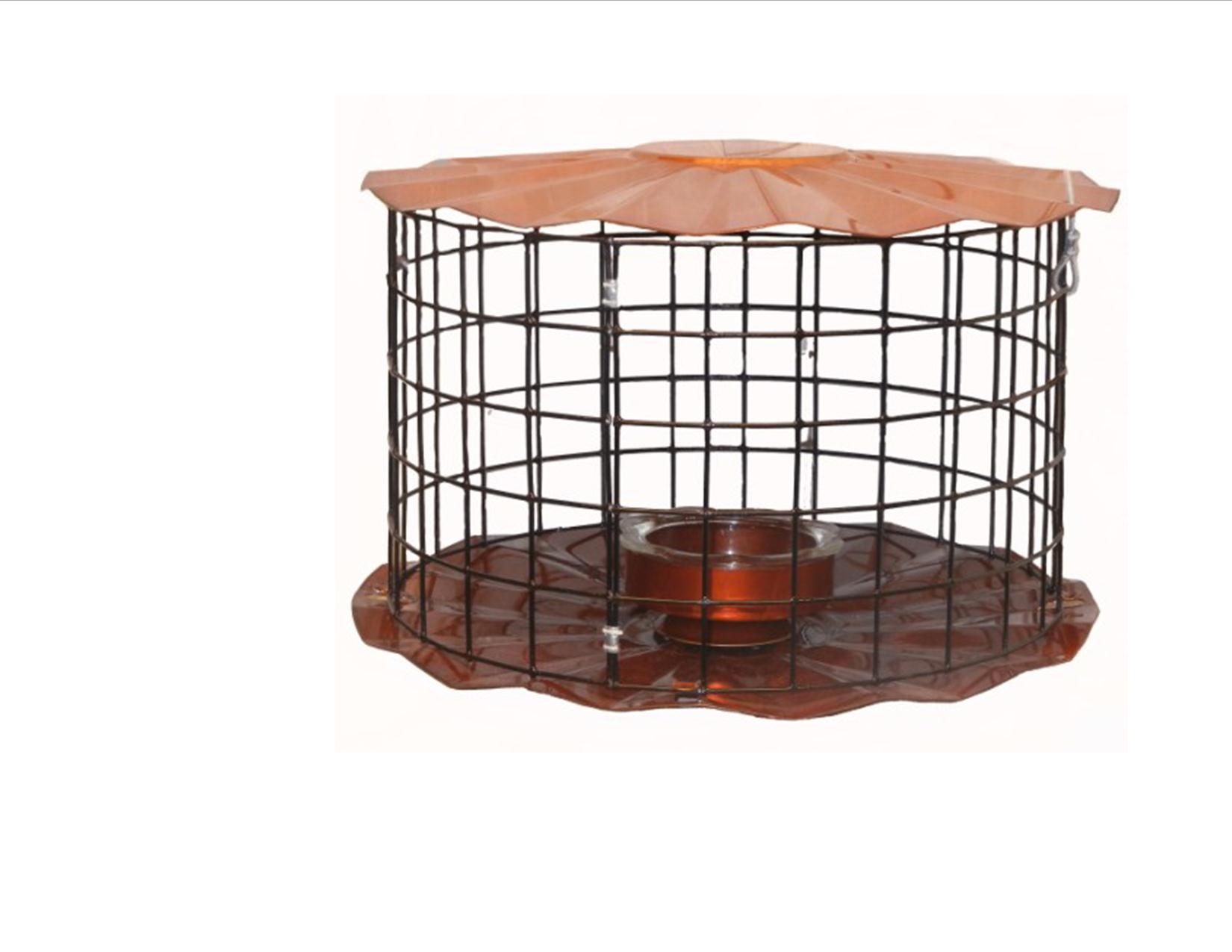 Starling Proof Feeders : Nature House Catalog