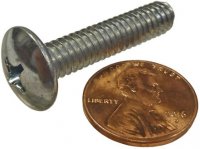 30055 - Replacement Truss Screw (Starling Proof Feeders) - Click Image to Close