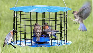 (image for) BBF1 IP - Blue Meal Worm Feeder - USA