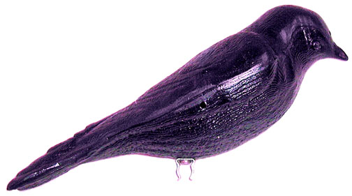 Decoy - Purple Martin Plastic Decoy with clip - Click Image to Close