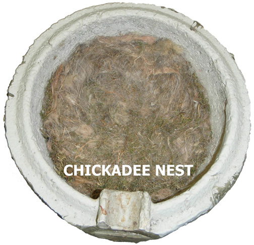 (image for)  - Click Image to Close