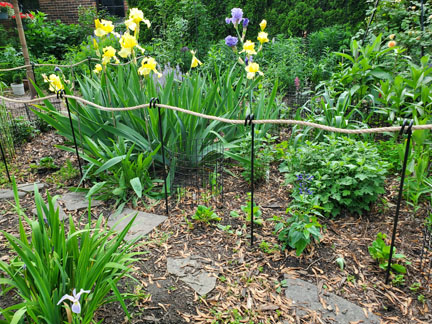 (image for) RSS-S12 Single Loop Rope Pole