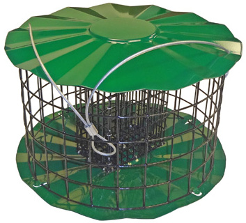 (image for) SUET1 - Double Suet Cake Feeder - USA